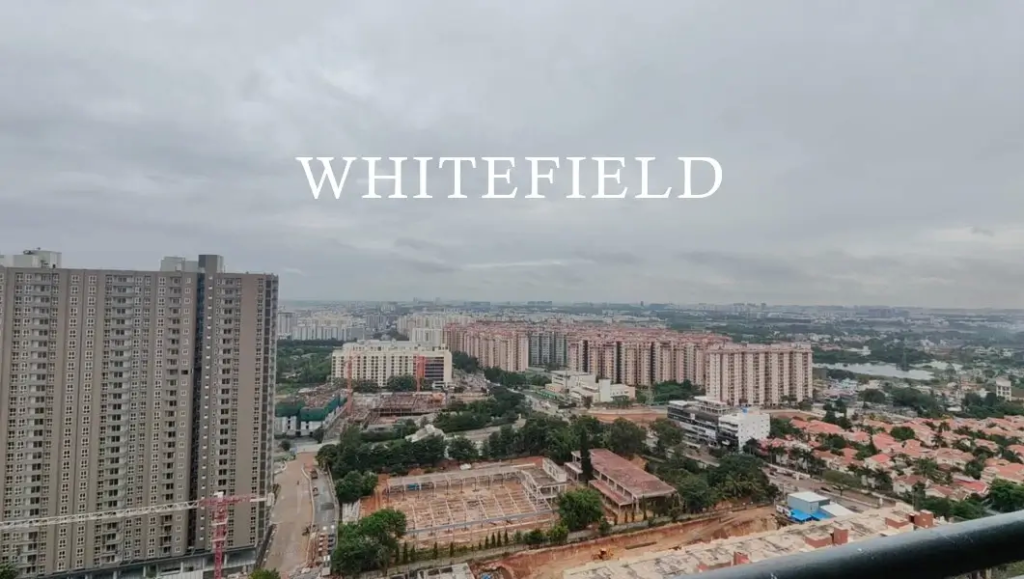 Whitefield